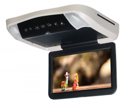 Overhead DVD and Video